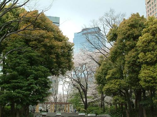Shinjuku Central Park